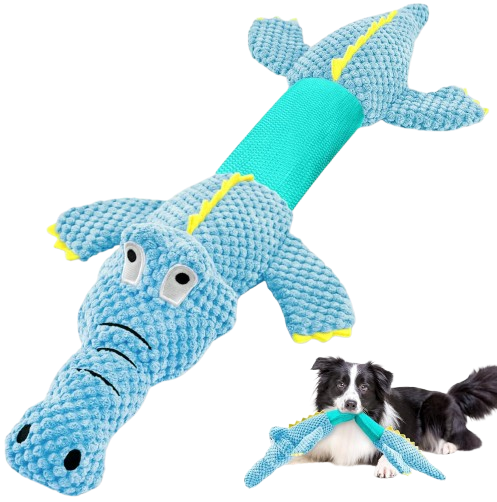 Interactive Dog Toys